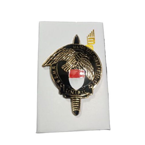 brevet wing pdh SEMR unifil