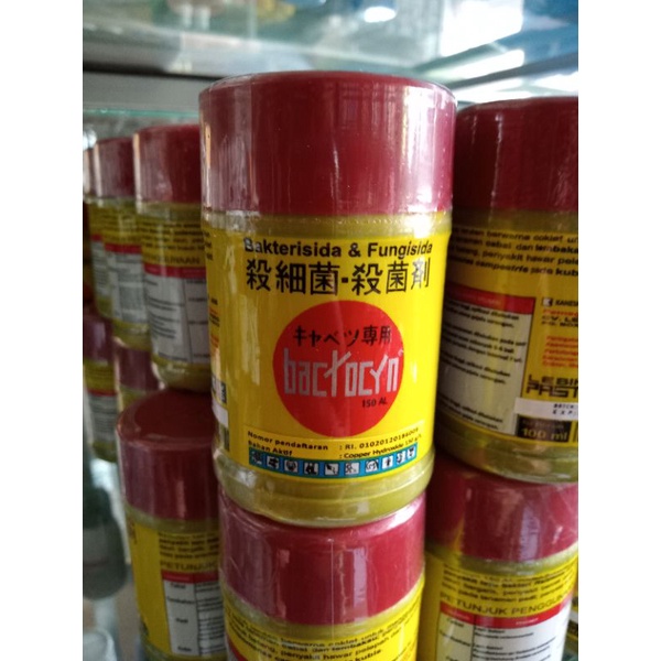 Copper tembaga Hidroksida BACTOCYN Bakterisida dan Fungisida
