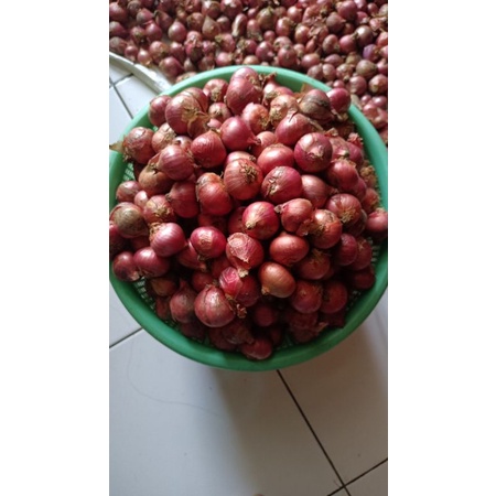 

Bawang merah super 1kg UK besear2 TERMURAH