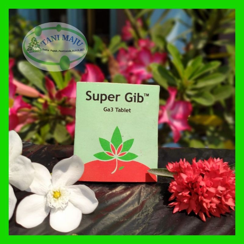 SUPER GIB GA3 TABLET
