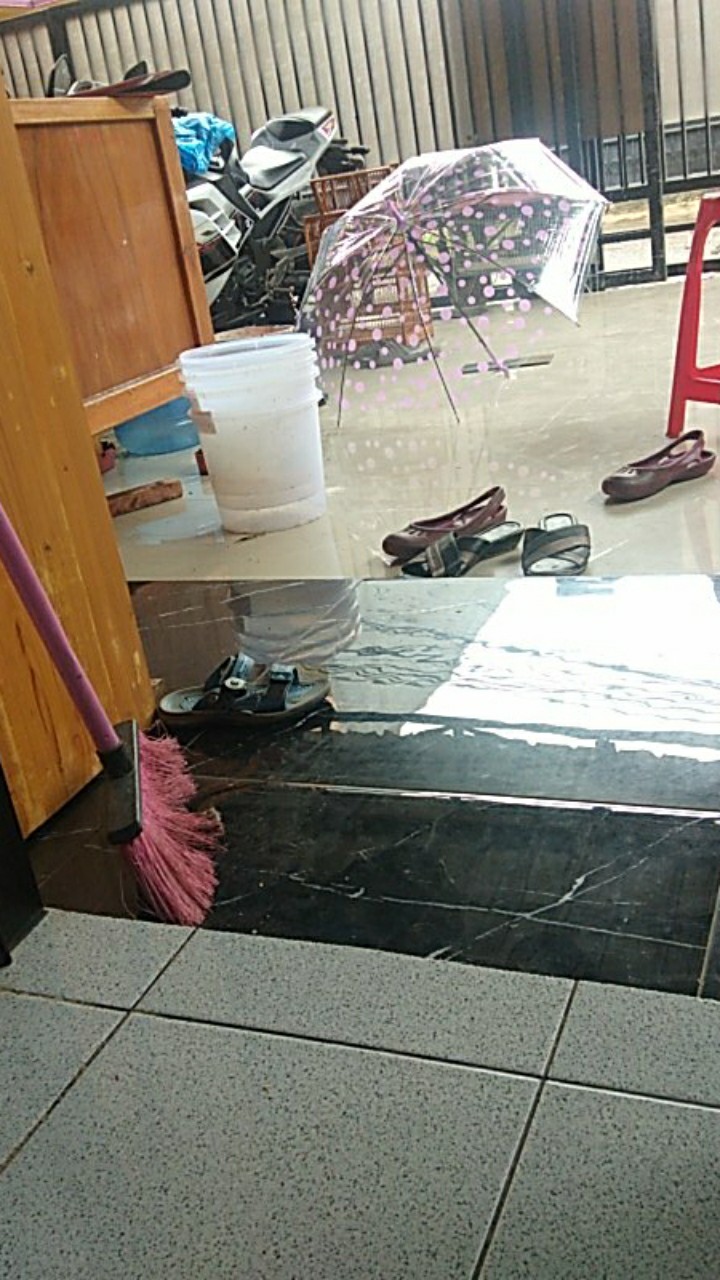 New!!! [standard Quality] Payung Korea Trasparan Motif Cantik Dan Lucu