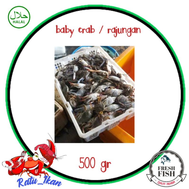 

baby crab/rajungan [500gram] ratu ikan