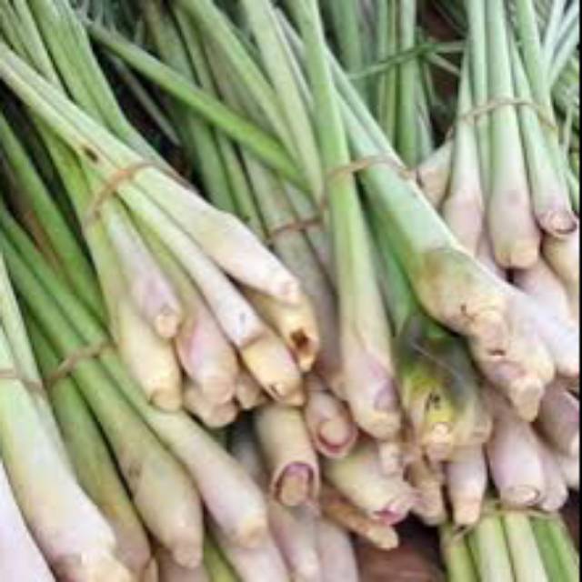 

Sereh Paling Murah 500 Gr