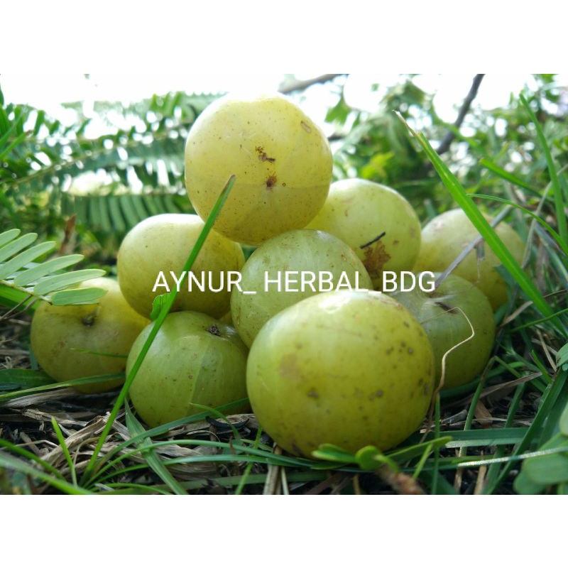 

Buah malak fresh 150 gram