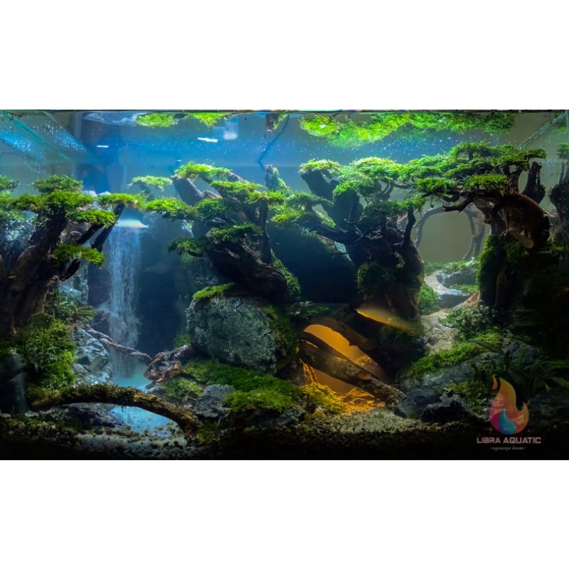 tebing waterfall aquascape model terjun bebas