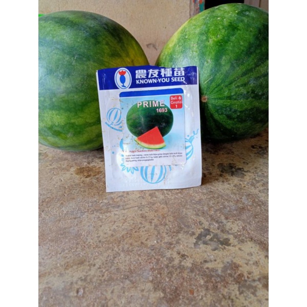 BENIH SEMANGKA PRIME beli 5 Gratis 1