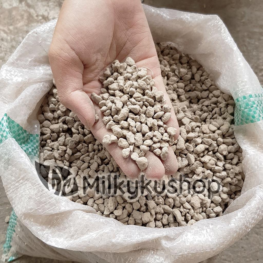 BATU APUNG KECIL - PUMICE STONE AQUARIUM FILTER