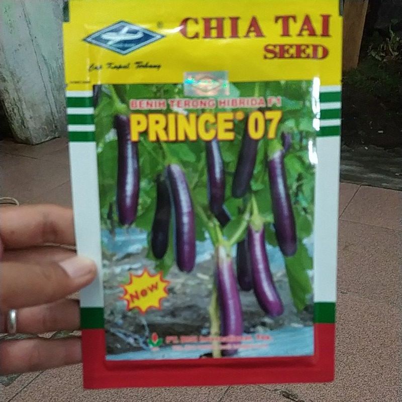 Jual Benih Terong Ungu Hibrida Prince 07 Isi 10 Gram Shopee Indonesia