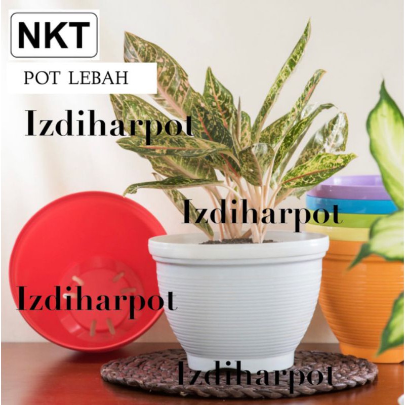 pot bunga tanaman lebah warna warni 21cm - nkt lebah