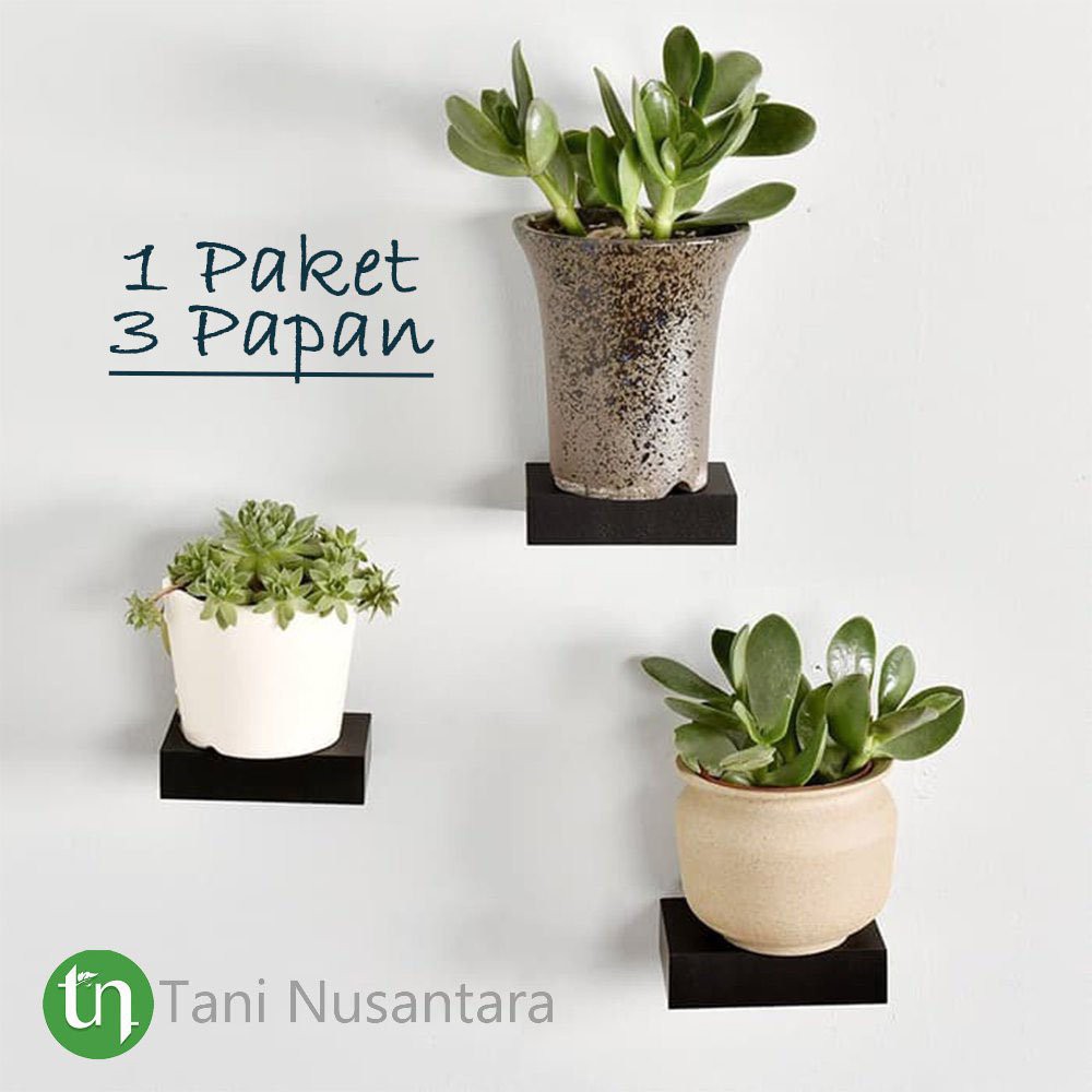 hiasan dinding rumah rak mainan Termurah