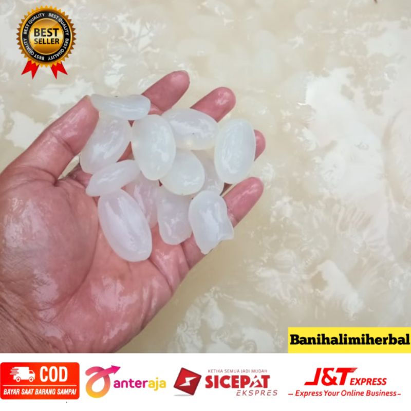 

Kolang kaling murni tanpa campiura100% 1 kg