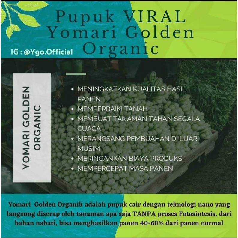 pupuk yomari golden organic