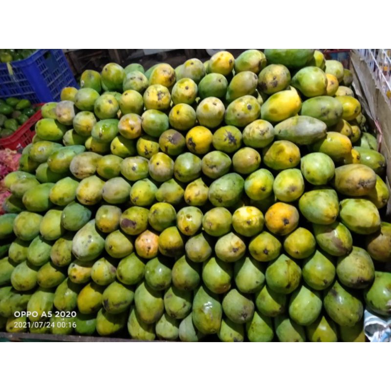

Mangga Harummanis 1kg|buah segar bandung