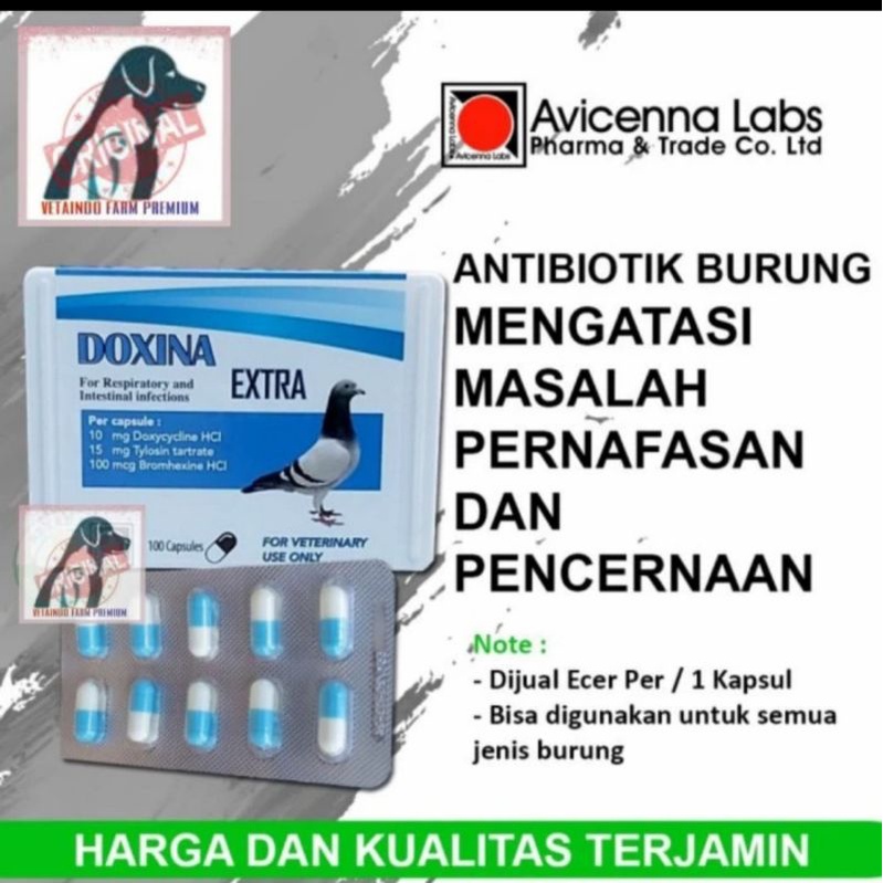 DOXINA EXTRA AVICENNA LABS OBAT ANTIBIOTIK PERNAPASAN PENCERNAAN BURUNG MERPATI