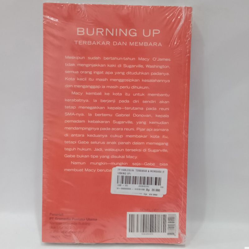 burning up / terbakar dan membara - Susan andersen