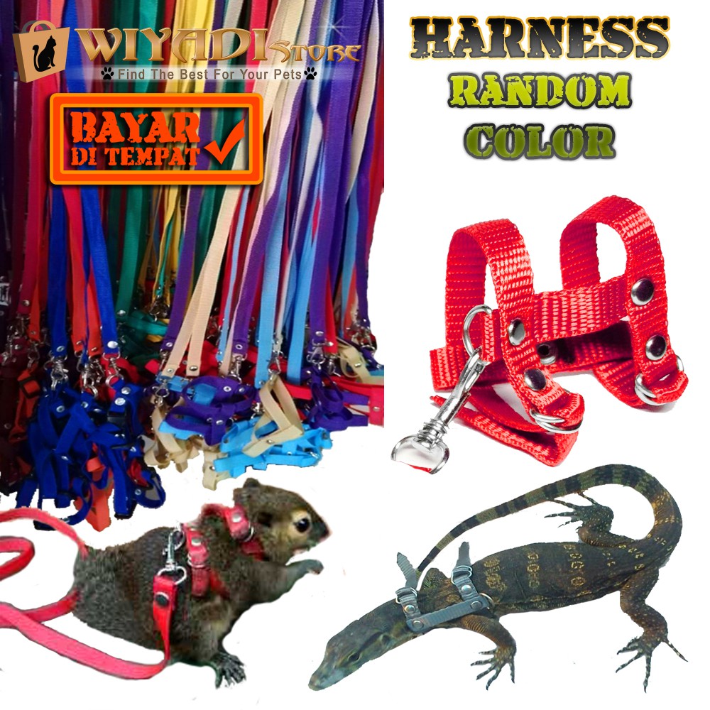 Harness H Hewan Kecil, Harnes Tupai, SG, Landak Mini Size S