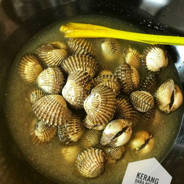 

Kerang Dara Rebus