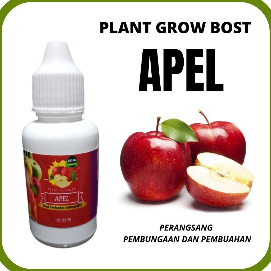 HORMON Tunas Penumbuh Batang Tanaman Apel, Pupuk Hormon Perangsang Pelebat Buah APEL Besar, RELIQ HO