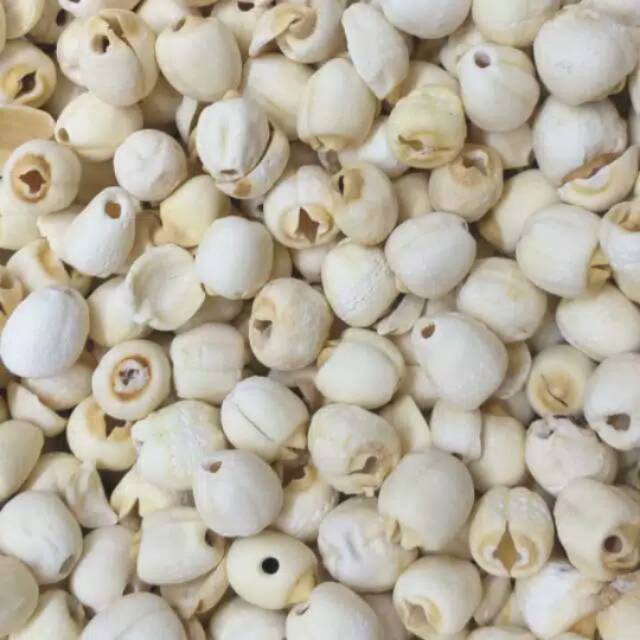 

Biji teratai 100gr(lience)