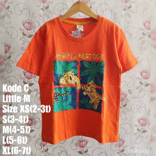 kaos Little M