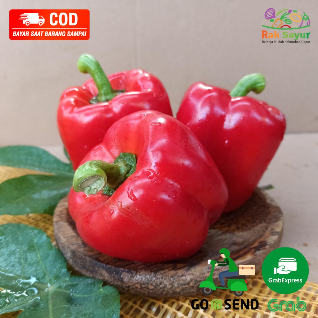 

Paprika Merah Premium 1 Buah Sayuran Segar Excotic Sayur Fresh Rak Sayur Padang
