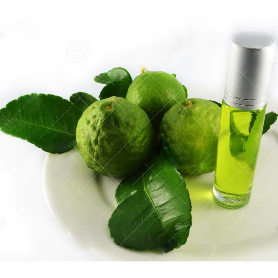 Kaffir Lime Essential Oil Minyak Atsiri Jeruk Purut Murni Citrus hystrix