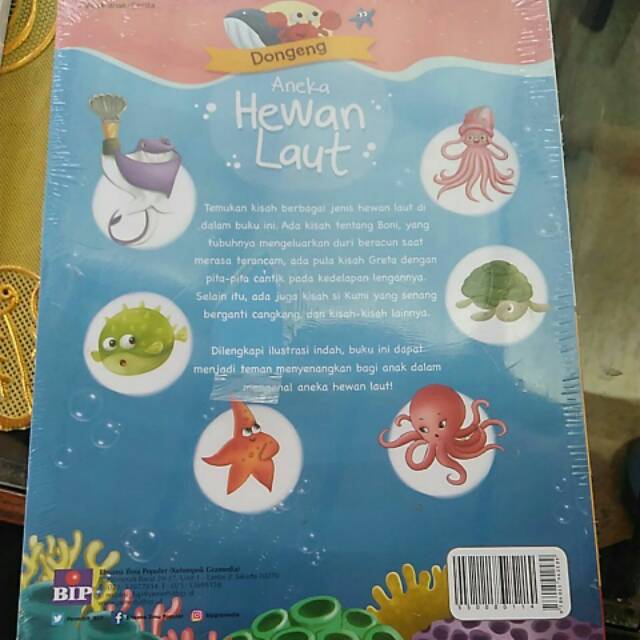 780+ Gambar Aneka Hewan Laut HD Terbaik