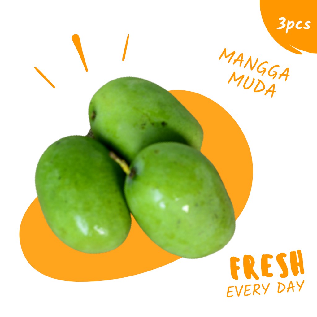 

Sayur MANGGA MUDA FRESH PER 2 BIJI Segar Murah Sayuran Online Makassar