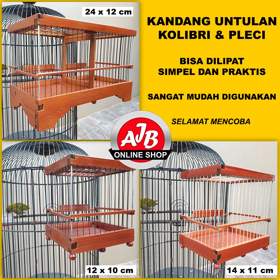 Kandang untulan burung kolibri dan pleci