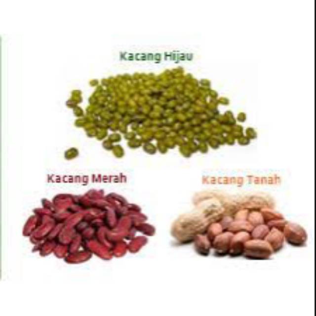 

Kacang hijau / kacang tanah / kacang merah 100gram