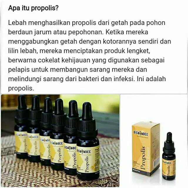 

Big Bee Propolis