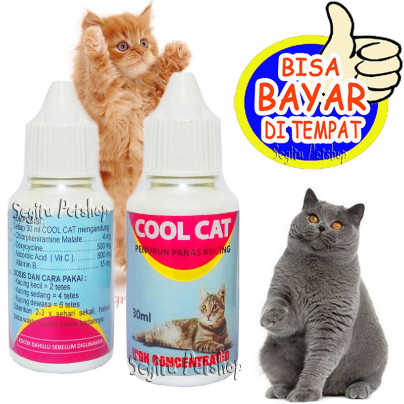 OBAT PANAS KUCING SAKIT DEMAM BACTERI FLU VIRUS COOL CAT