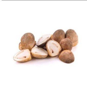 

Jamur Merang Segar 250gr