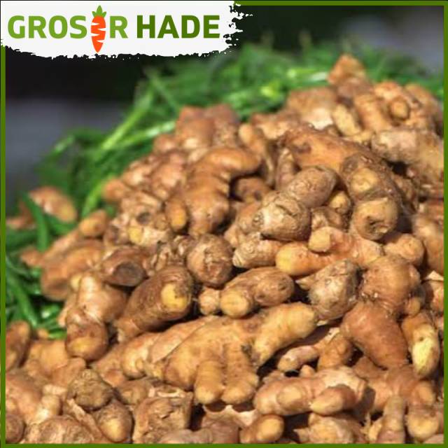 

Jahe 100 Gram Pasar Bandung Murah