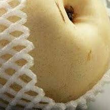 ➩ FOAM NET BUAH - JARING BUAH BUSA FOAM ❆