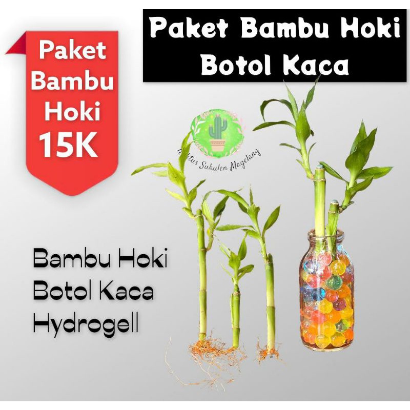 Set 1 botol hydrogel dan bambu hoki