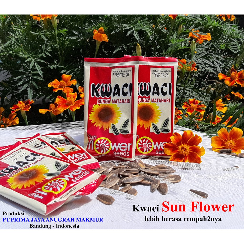 

Kwaci sun flower