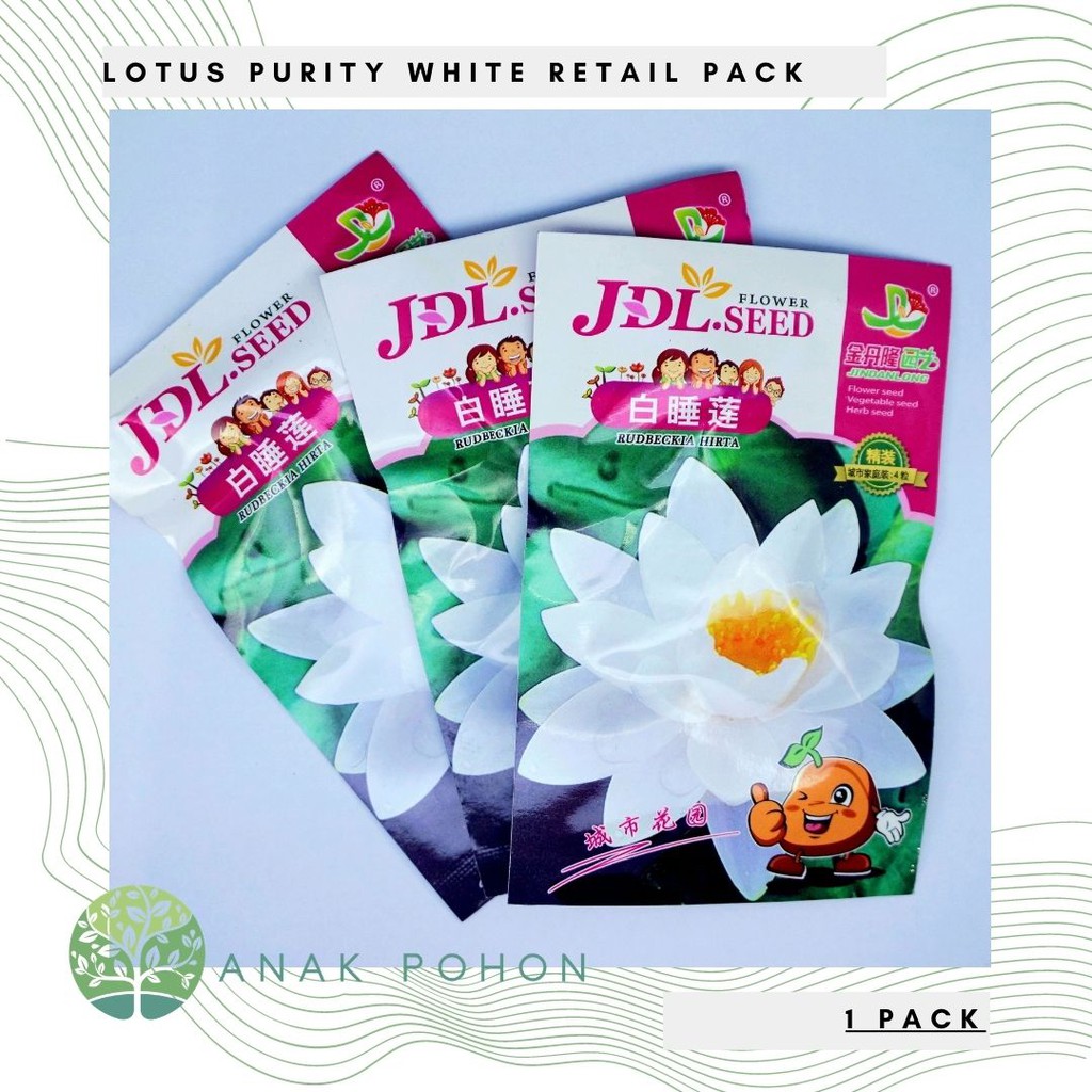 ( 1 PACK ) Benih Bibit Biji - Lotus Seroja Nelumbo nucifera Purity White Retail Pack - IMPORT