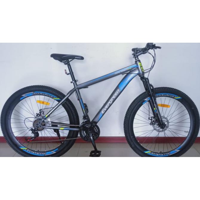 Sepeda MTB 26 Evergreen 540 vleg tinggi