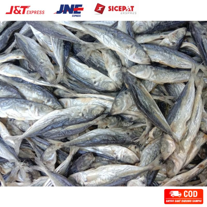 

Ikan asin ogak khas medan 100 gram