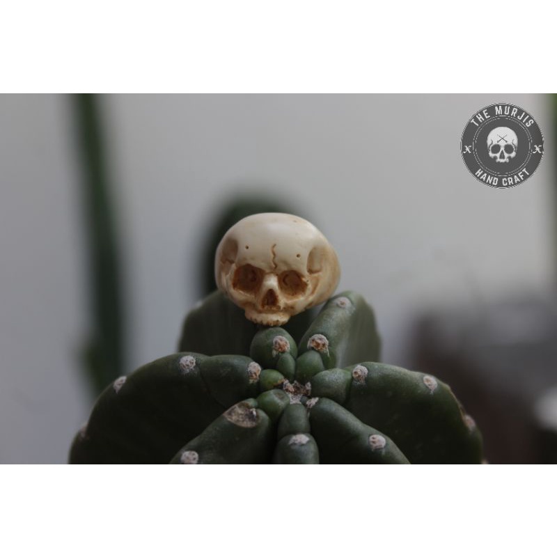 cincin tengkorak / ring skull