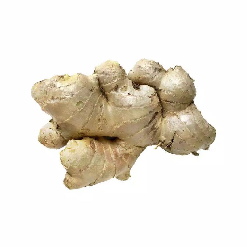 

Jahe Gajah Segar Rempah-Rempah Netto. 500Gram