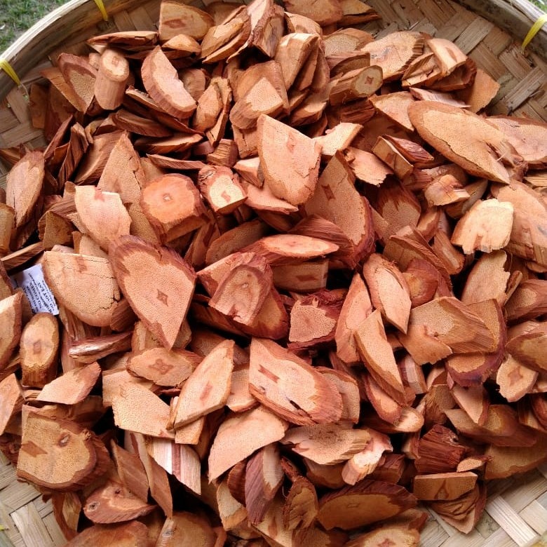 

Kayu Bajakah Asli 250 gr (1/4 kg) Asli Kalimantan