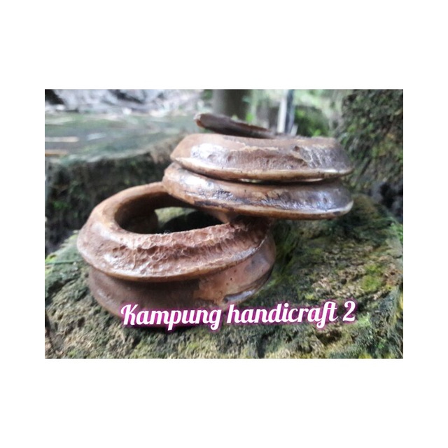 taring babi melingkar 3