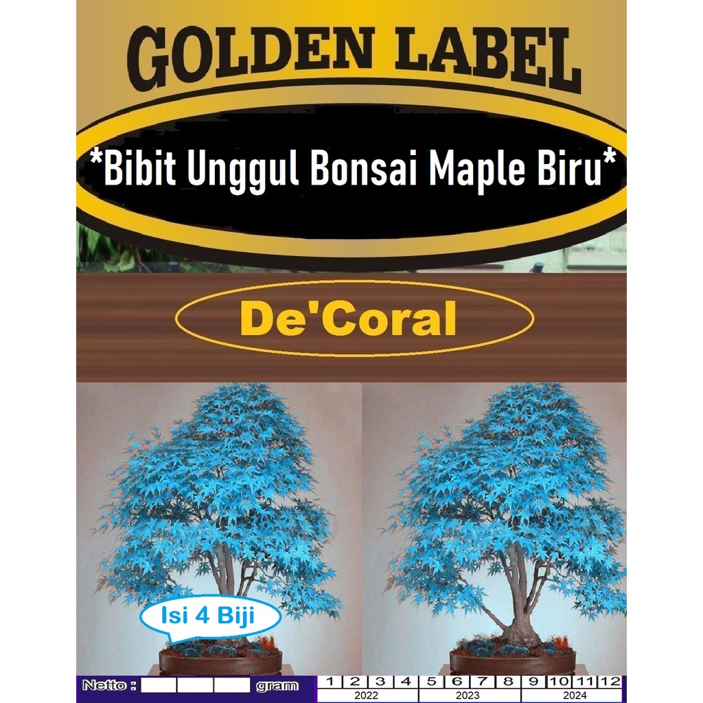 Bibit Bonsai Maple Biru | Benih Bonsai Maple Biru | Pohon Hias Maple