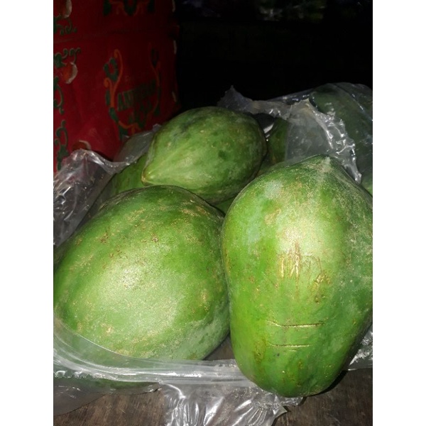 

paya muda 1kg