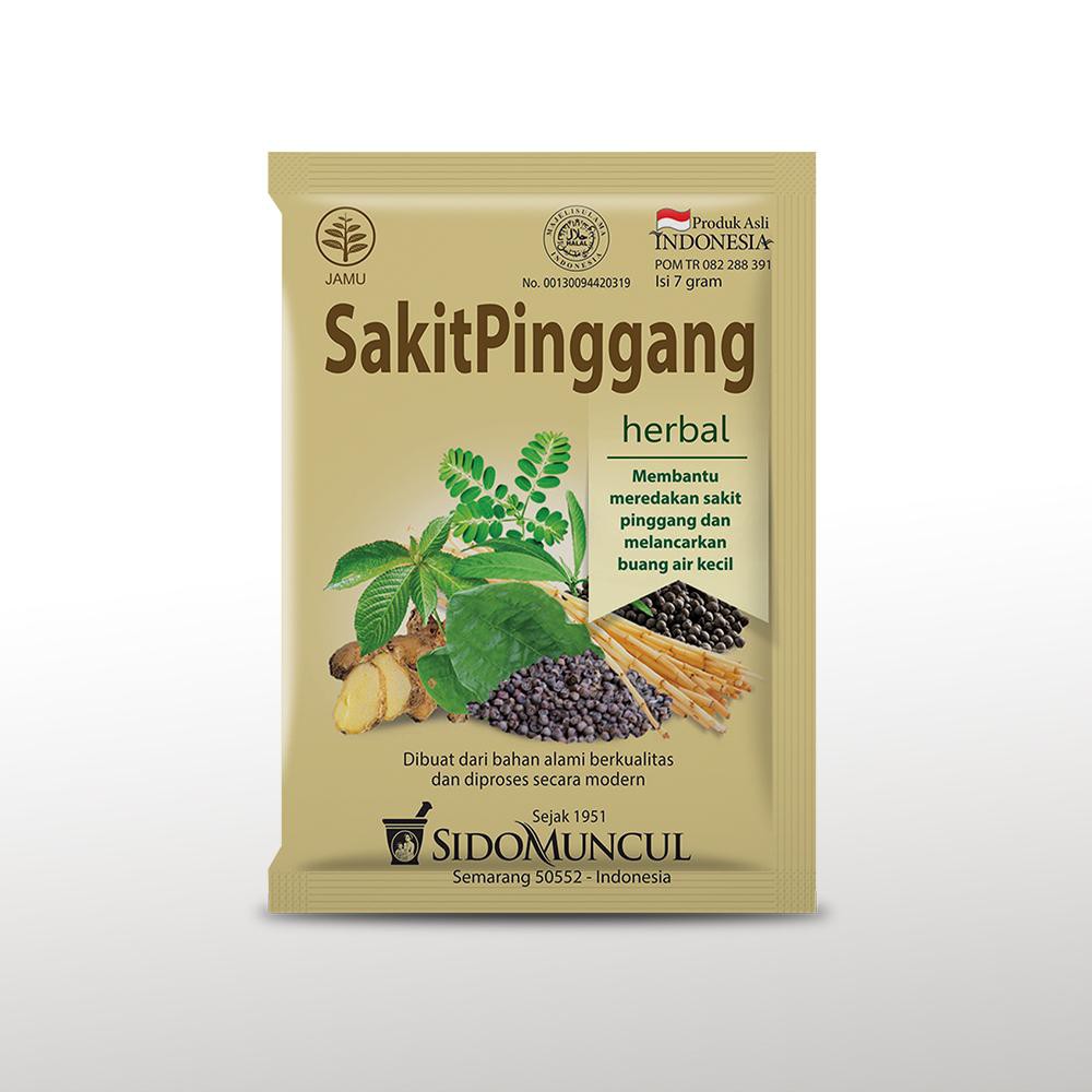 Jual Jamu Sakit Pinggang Sido Muncul Isi 10 Sachet Indonesia Shopee