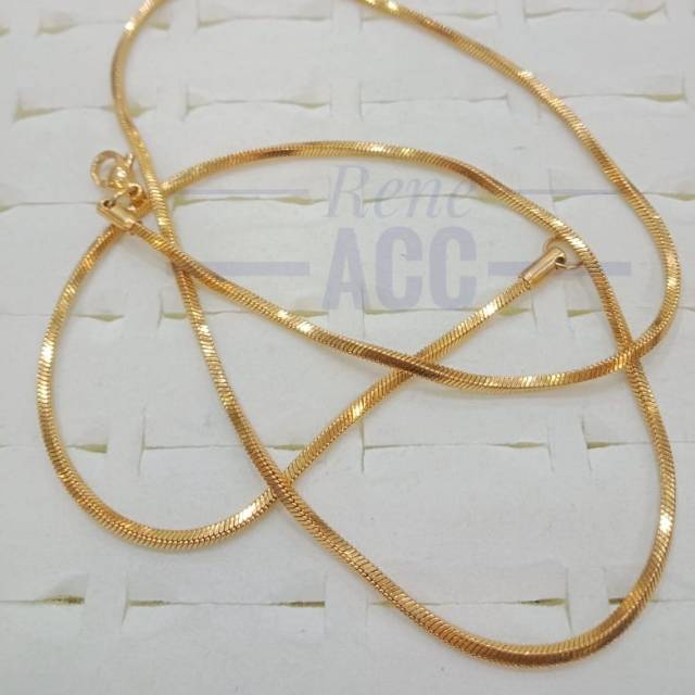 Kalung Pria wanita Titanium Belut kotak gold anti karat