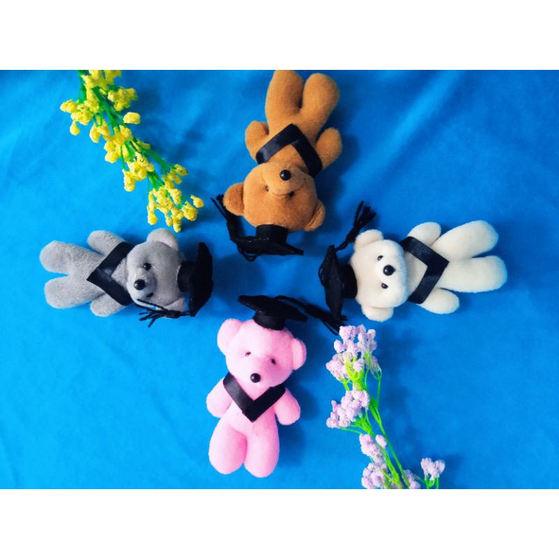 boneka wisuda / boneka wisuda mini / boneka beruang kecil / souvenir / souvenir wisuda