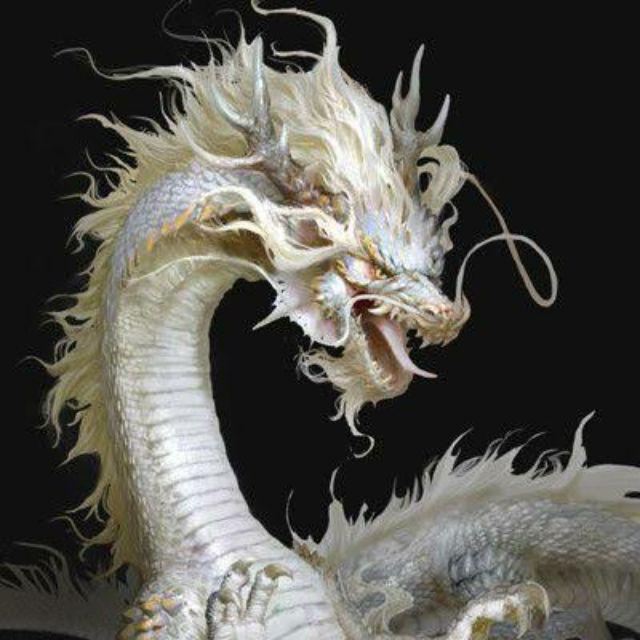 Ijazah Khodamul Naga Putih Shopee Indonesia